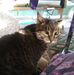 Profile Picture of Cheryl Duffie (@cheryl.duffie.10) on Facebook