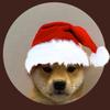 Profile Picture of Ahmed Afzal (@@ahmed_afzall) on Tiktok