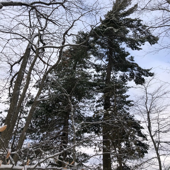 Fiona Robb-craig - Poshmark Profile Picture of Fiona Robb-craig (@robbcraigf355) on Poshmark