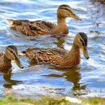 Profile Picture of Gladney (@gladneypanjonqu) on Instagram