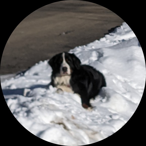 Profile Picture of Marc Lachance (@snowmaker50) on Poshmark