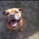 Profile Picture of Matthew Tebble (@tebbs2) on Instagram