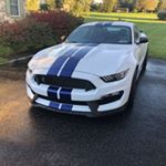 Profile Picture of Bob Stauffer (@nittanylions96) on Instagram