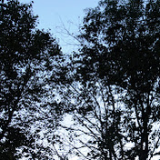 Profile Picture of Christopher Gamboa (@Yo_Gamboa) on Youtube