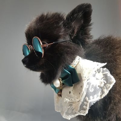 Profile Picture of PASS THE BOOF (@Joe37128426) on Twitter