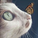 Aron Queen - Instagram Profile Picture of Aron Queen (@aron_qween) on Instagram