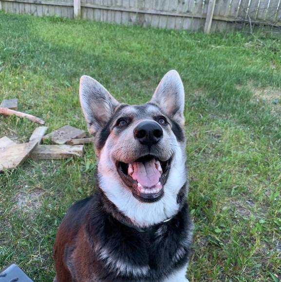 Profile Picture of Heather Mckay (@heattim5) on Poshmark