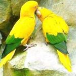 Profile Picture of Mohammad Mukhtar (@mohammad.mukhtar.520125) on Instagram