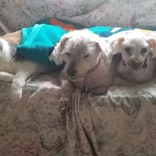 Profile Picture of Shelly Wagner (@shelly.wagner.5070) on Facebook