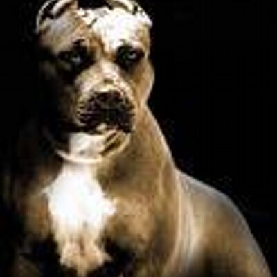 Michael Winterbottom - Twitter Profile Picture of Michael Winterbottom (@mike_mossley) on Twitter