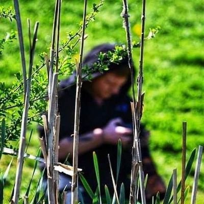 Profile Picture of Matthew James Photography (@Matts_Wildlife_) on Twitter