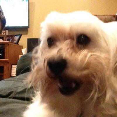 Profile Picture of Joseph Gingrich (@batmonky265) on Twitter