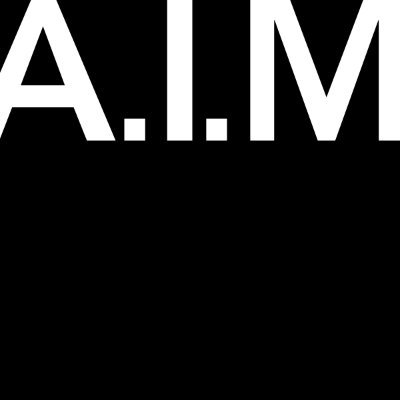 Profile Picture of AIM (@AbrahamInMotion) on Twitter