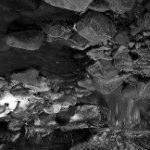 Profile Picture of Grayson (@spitzwendellkc) on Instagram