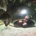 Profile Picture of Caleb Cantrell (@caleb.cantrell.52) on Facebook