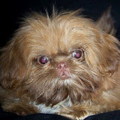 Profile Picture of Roberta Byrd (@robertabyrd1431) on Youtube