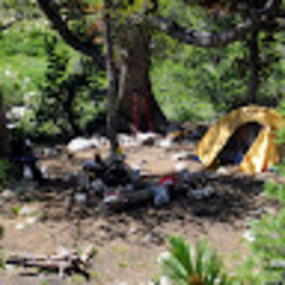 Profile Picture of Lisa Graunke (@lisagraunke) on Poshmark