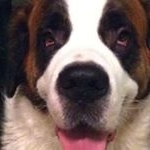 Steven E. Sheard - Instagram Profile Picture of Steven E. Sheard (@sesheard) on Instagram