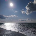 Francesco Piazza - Instagram Profile Picture of Francesco Piazza (@frank_square_) on Instagram