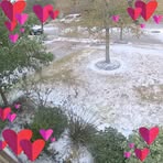 Profile Picture of Linda Carson WehrlyGoode (@willie.goode.7564) on Facebook
