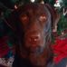 Profile Picture of David Heffner (@david.heffner.108) on Facebook