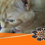 Profile Picture of Claudia Stewart (@claudiastewar) on Instagram