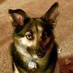 Profile Picture of nicholas.ostroski (@nicholas.ostroski) on Tiktok