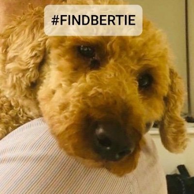 Profile Picture of Donna Martin (@DonnaMMartin) on Twitter