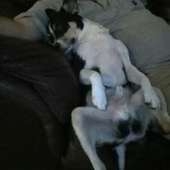 Profile Picture of Iris Tritt-Shenk (@Iris20846260) on Twitter