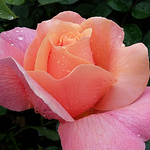 Profile Picture of Gary Chambers (@gary43lee) on Flickr