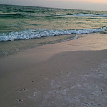 Maddie Ebrey - Flickr Profile Picture of Maddie Ebrey (@maddie.ebrey) on Flickr