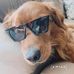 Profile Picture of Michael Rickey (@michael.rickey.5) on Facebook
