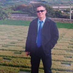 Profile Picture of anastasiosmanalis (@anastasiosmanalis) on Tiktok