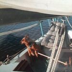 Ron Miller - Instagram Profile Picture of Ron Miller (@dr_rjmiller) on Instagram