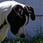 Profile Picture of Scott Whitney (@scooter386) on Flickr