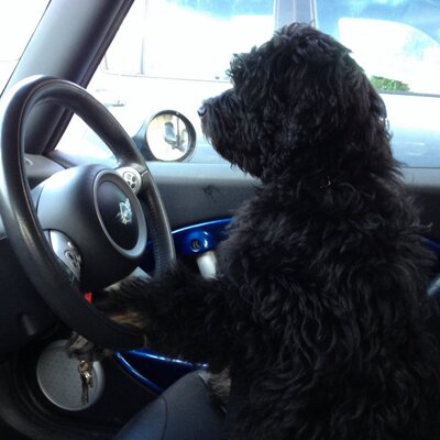 Profile Picture of Mike Leftwich (@mikeleftwich1) on Twitter