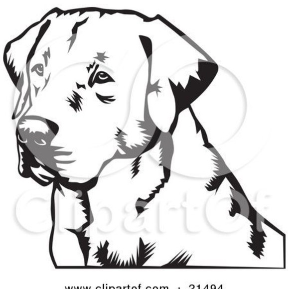 Profile Picture of Cindy Frutchey (@andershunter) on Poshmark