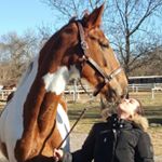 Profile Picture of Lucas & Marion_The Best Coach (@demi_de_la_chapelle) on Instagram