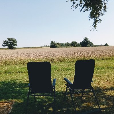 Profile Picture of Dawn Woolley (@DawnWoolley1) on Twitter