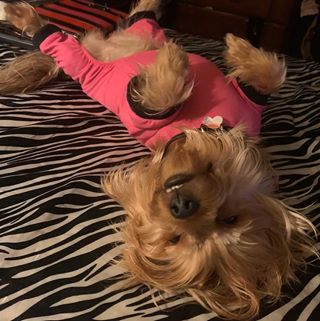 Profile Picture of Rosa Matthews (@rosa.matthews.7) on Facebook