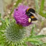 Profile Picture of Fiona Griffiths (@fiona.griffiths1) on Instagram