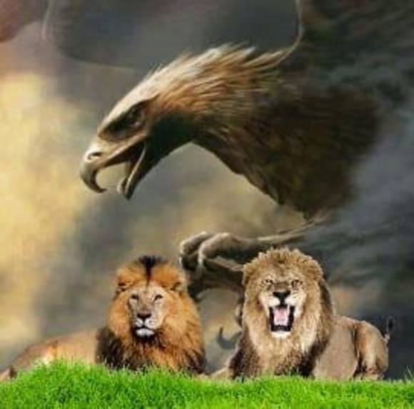 Profile Picture of Joseph Plaisted (@ajatthehouse) on Poshmark