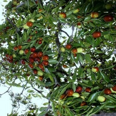 Profile Picture of Gaby Joe (@LyuGaby) on Twitter