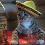 Profile Picture of Marz ll (@michael.rodionoff) on Instagram