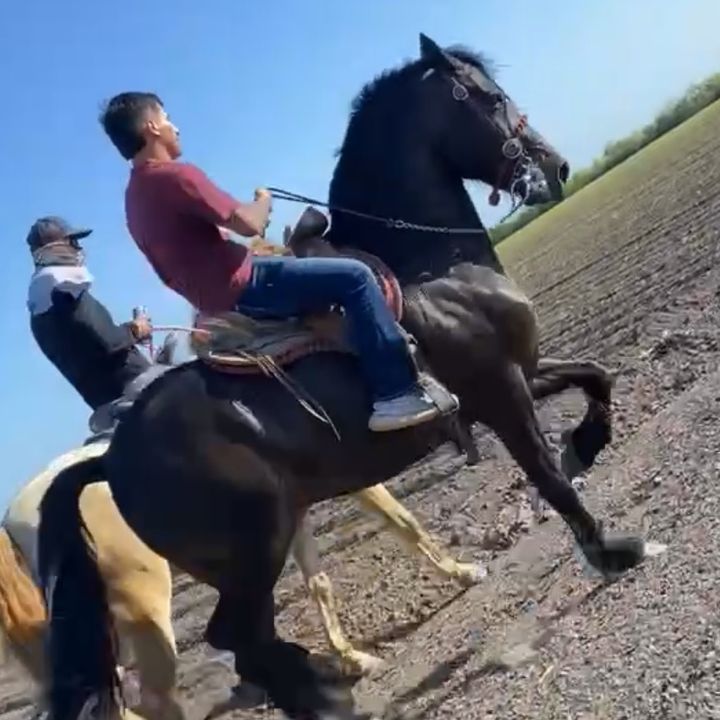 Profile Picture of Andrew Medrano (@andrewmedrano17) on Tiktok