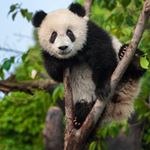 Profile Picture of Tony Mark (@tony_mike_mark_) on Instagram