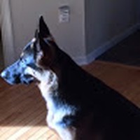 Profile Picture of David Sobeck (@david-sobeck-2) on Quora