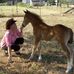 Profile Picture of Debbie Herbert Hunt Eyer (@debbie.herberthunteyer) on Facebook