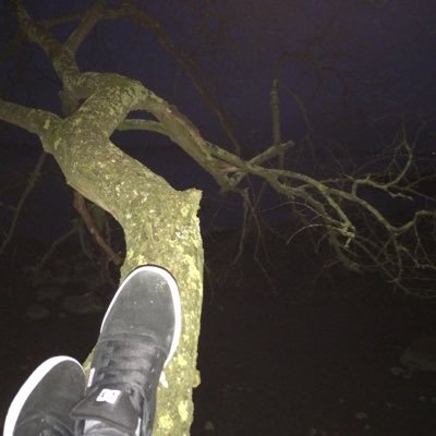 Profile Picture of Adam Strauß (@Caruz0) on Twitter