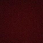 Profile Picture of Nathan Kimball (@kimball_nathan) on Instagram